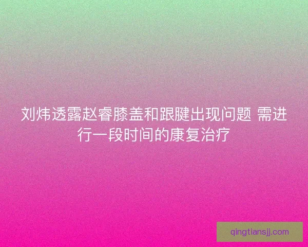 刘炜透露赵睿膝盖和跟腱出现问题 需进行一段时间的康复治疗
