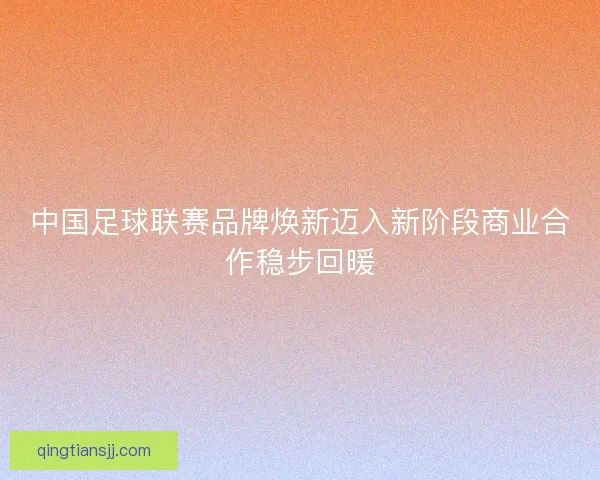 中国足球联赛品牌焕新迈入新阶段商业合作稳步回暖