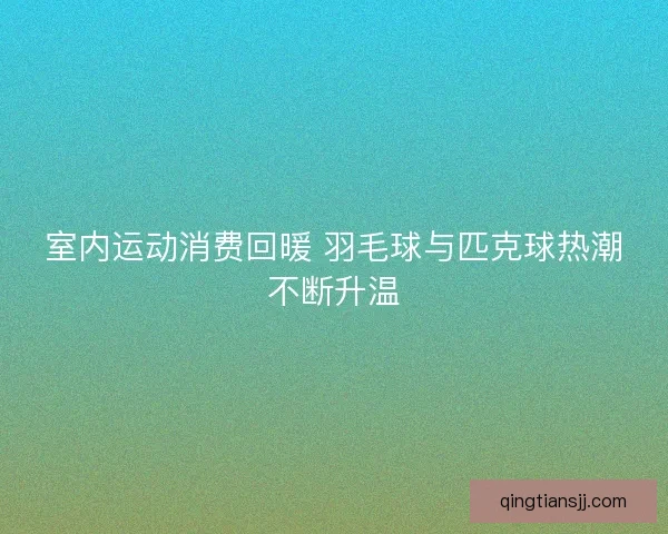 室内运动消费回暖 羽毛球与匹克球热潮不断升温