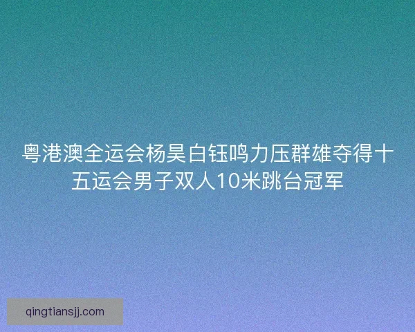 粤港澳全运会杨昊白钰鸣力压群雄夺得十五运会男子双人10米跳台冠军